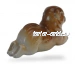 Чау-чау
