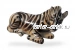 Зебра