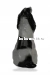 Спаниель 1