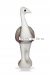 Страус
