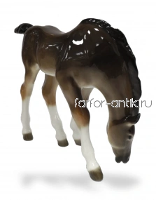 Жеребёнок пасущийся
