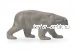 Белый медведь