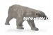 Белый медведь
