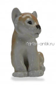 Львёнок