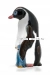Пингвины