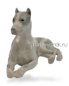 Дог