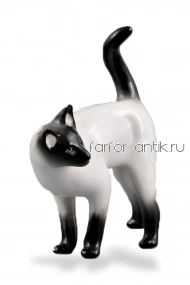 Сиамская кошка