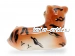 Тигр