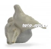 Голуби