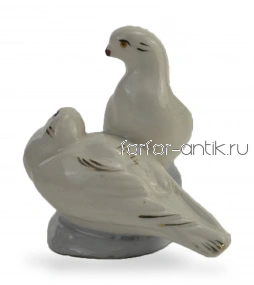 Голуби