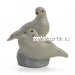 Голуби