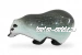 Барсук