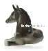 Жеребёнок лежащий