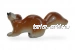 Белочка 1