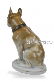 Бульдог