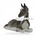 Жеребёнок лежащий