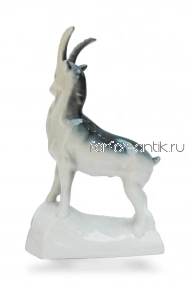 Горный козёл