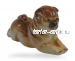 Чау-чау