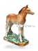 Жеребёнок