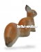 Белочка 2