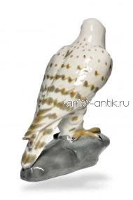 Сокол