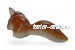 Белочка 1