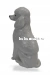 Пудель