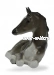 Жеребёнок лежащий