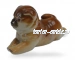 Чау-чау