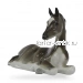 Жеребёнок лежащий