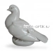 Голубь