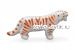 Тигр