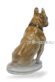 Бульдог