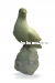 Голубка