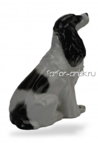 Спаниель 1