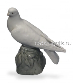 Голубь