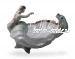 Лоток "Русалка и дельфин"