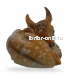 Оленёнок
