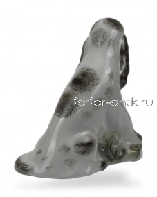 Дружок