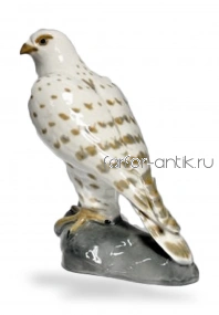 Сокол