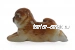 Чау-чау