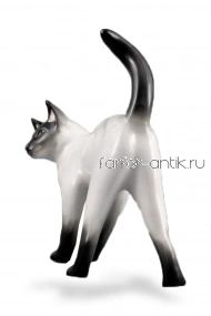 Сиамская кошка