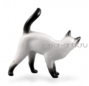 Сиамская кошка