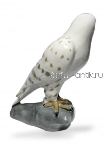 Сокол