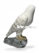 Сокол