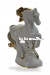 Конь златогривый