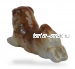 Чау-чау