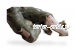 Раненый мужчина