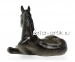 Жеребёнок лежащий