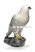 Сокол